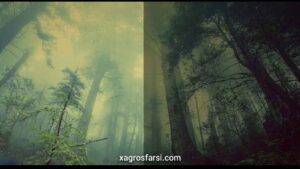 فید ( Fade )